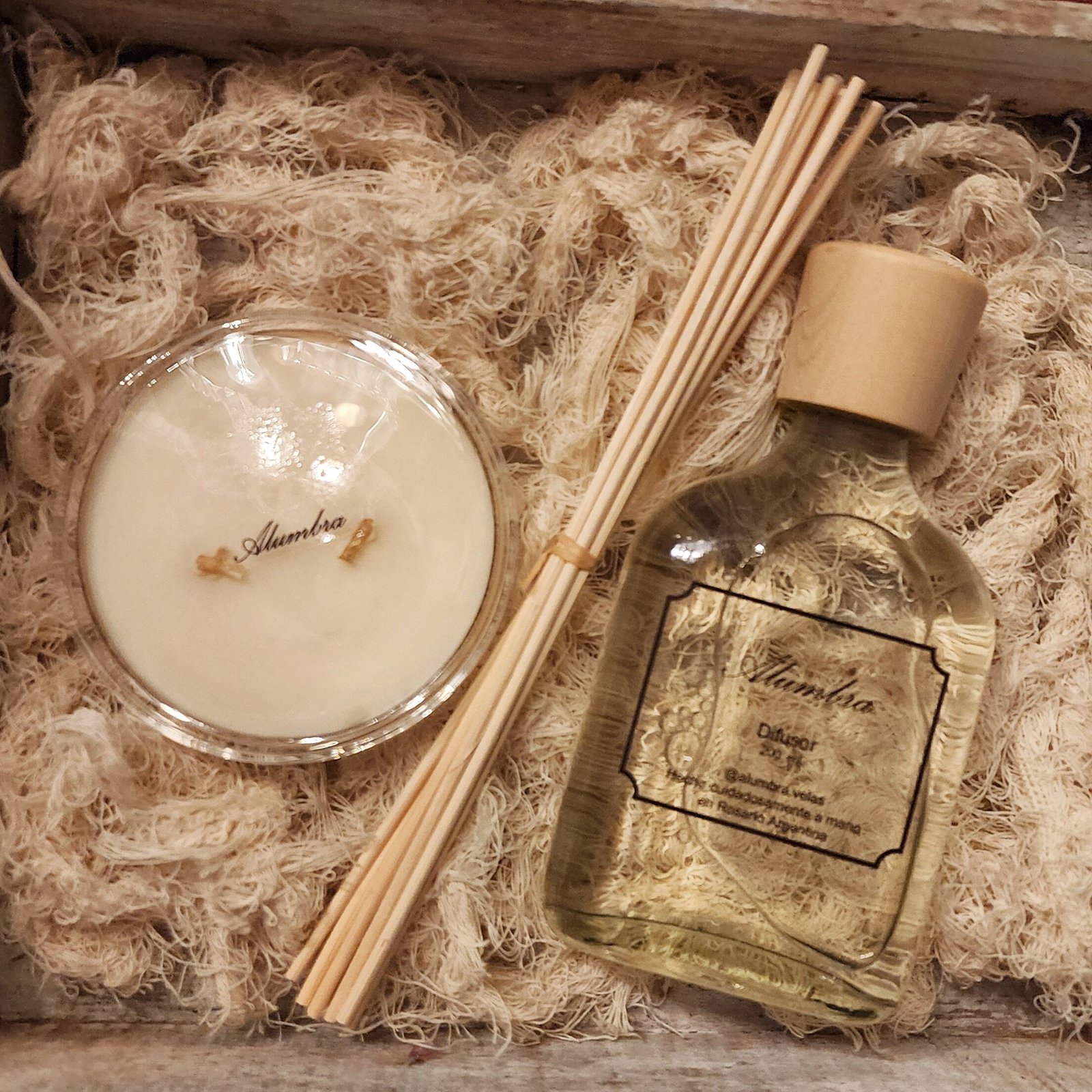 Alumbra Box PETRI Wood